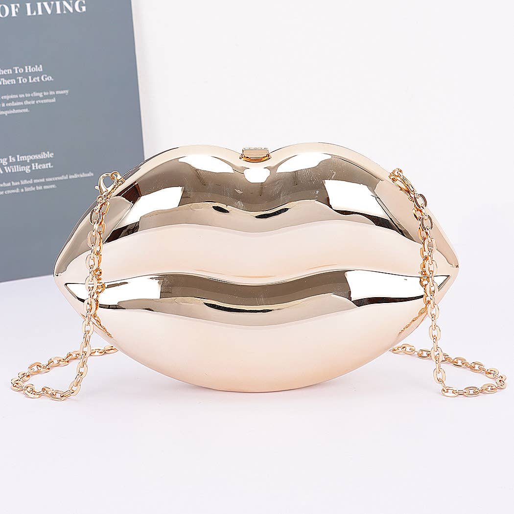Acrylic Case Bag